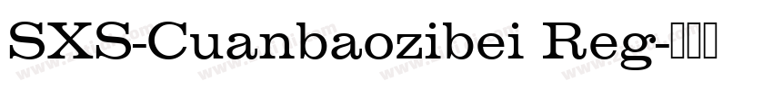 SXS-Cuanbaozibei Reg字体转换